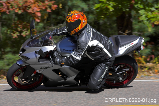 CRRLE7N8299-01.jpg