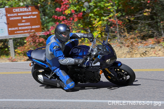 CRRLE7N8763-01.jpg